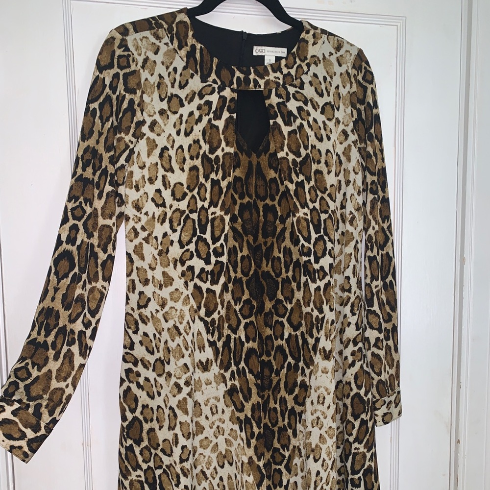 Cheetah print mini Dress